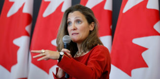 Канада устроила демарш против выданных Россией паспортов