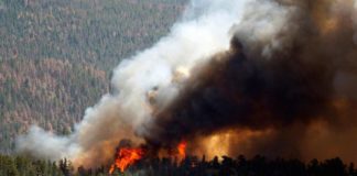 Кто следующий — дым от пожаров в лесах Сибири уже добрался до Поволжья