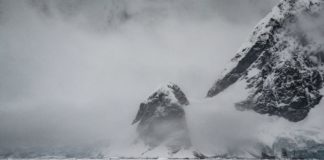 Ученые нашли в Антарктиде кусок дерева: находка возрастом 4 млн лет поможет заглянуть в прошлое