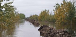 Во всем Хабаровском крае введен режим ЧС из-за потопа