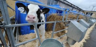 Подсчитаны результаты «пятилетки» контрсанкций