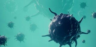 Весь мир в опасности: грибковая инфекция быстро распространяется, ученые не знают что делать