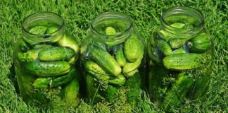 Маринад для огурцов на 1 литр воды — самый вкусный по мнению нашей редакции