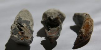 В блоке известняка возрастом 70 миллионов лет нашли медные «пули»