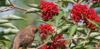 Какой православный праздник сегодня, 11.08.2019: по церковному календарю праздник сегодня, 11 августа