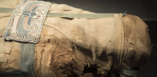 Проклятие фараонов: археологи против, чтобы власти Египта перемещали гробницу в музей
