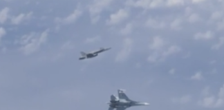 В НАТО объяснили сближение истребителя с самолетом Шойгу