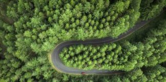 Диссиденты и Ереси в науке как еще одной форме религии