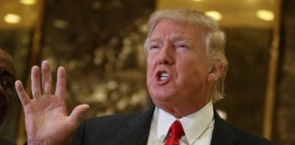 СМИ: Дональд Трамп задумывается о покупке Гренландии