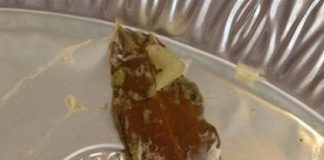 Американцы узнали о существовании лаврового листа и удивили остальной мир