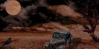 Стало известно, как высокие температуры изменят жизнь на Земле