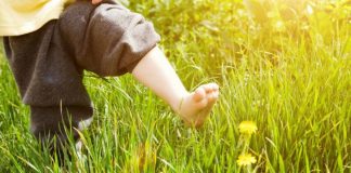 Приметы и запреты дня Успения Пресвятой Богородицы