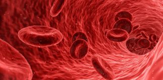 Ученые нашли способ определить по анализу крови, умрет ли человек в ближайшие 10 лет