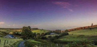 Какой сегодня праздник: 9 августа 2019 года