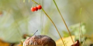 Погода на 14 дней: прогнозы Гисметео обещают тепло