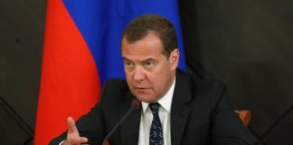 Медведев поручил представить предложения по созданию лесопожарного центра