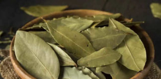 Лавровый лист, корица и еще 5 сильнейших талисманов у вас на кухне