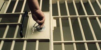 Амнистия 2019 по уголовным делам: какие новости из Госдумы, ждать ли амнистию