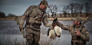 Сезон охоты по перу в Алтайском крае начнется 2 и 3 субботу августа 2019 года