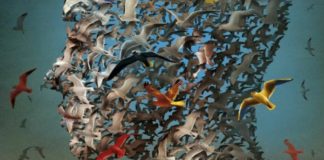 Как наша речь сообщает о болезни