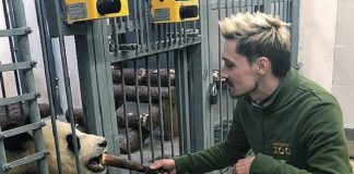 Дима Билан принял участие в тренинге панд в Московском зоопарке