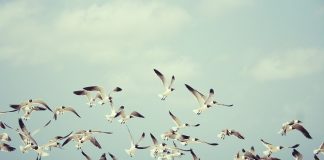 Какой сегодня праздник: 18 августа 2019 года