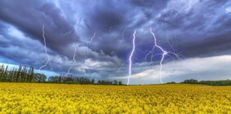 Ильин день 2 августа 2019 года: приметы и обычаи