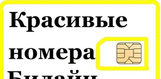 Покупка красивого номера Билайн