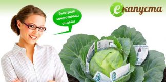 Оформить микрокредит в еКапуста