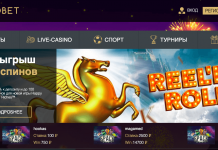 Большой ассортимент игровых автоматов в казино rio bet