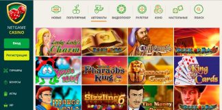 Общая информация об интернет игровом клубе Нетгейм