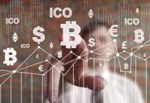 В какую монету лучше инвестировать 1 доллар в день, в BTC или ETH?