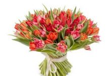 Как заказать тюльпаны с доставкой