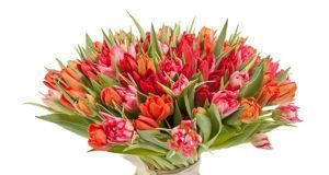 Как заказать тюльпаны с доставкой