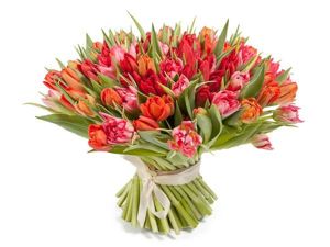 Как заказать тюльпаны с доставкой