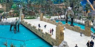 5 причин посетить парк развлечений Остров Мечты