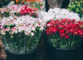 Как найти надежного поставщика свежих цветов?