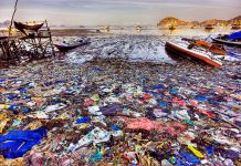 Современные причины загрязнения мирового океана