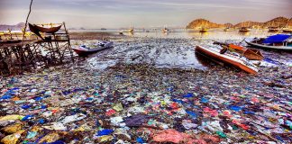 Современные причины загрязнения мирового океана