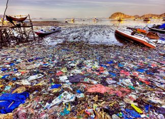 Современные причины загрязнения мирового океана