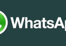 WhatsApp: основные функции, как установить