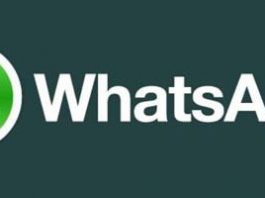 WhatsApp: основные функции, как установить