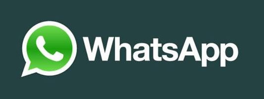 WhatsApp: основные функции, как установить