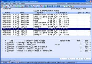 Специальная программа учета для детских садов