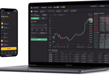 Cryptology — отзывы и обзор всех функций и возможностей компании