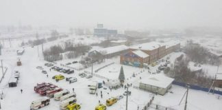 Теневым владельцем «Листвяжной» оказался экс-депутат Госдумы Гридин