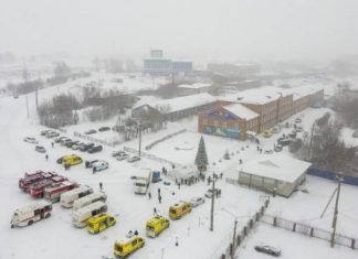 Теневым владельцем «Листвяжной» оказался экс-депутат Госдумы Гридин