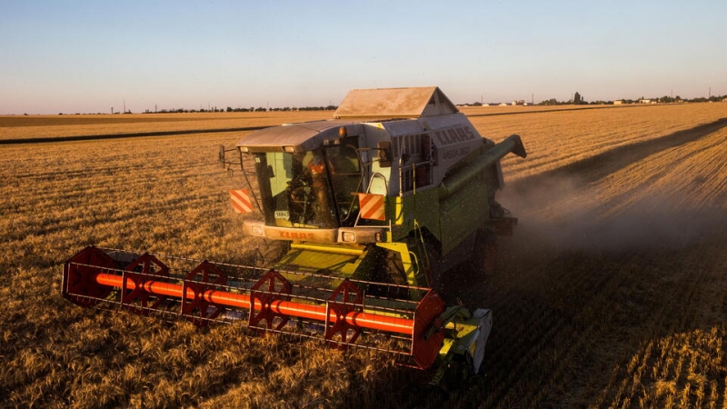В Польше оценили помощь западных санкций в развитии России