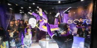 Аэротруба: виды полетов