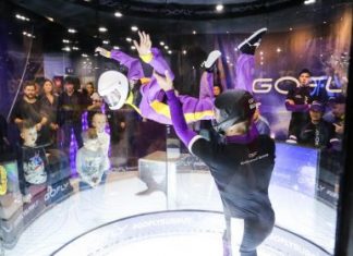 Аэротруба: виды полетов